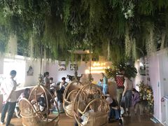 -Husky Go! 哈士奇体验馆·宠物咖啡厅狗咖