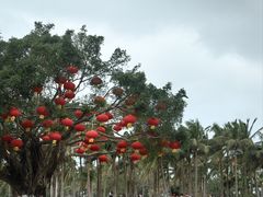 -万绿园