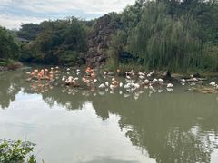 -宁波野生动物园