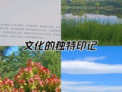 -北坞公园