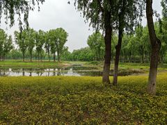 -东郊湿地公园