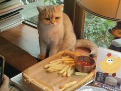 -咖法森林·咖啡  酒吧(天河店)