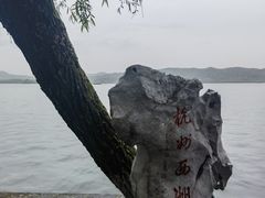-柳浪闻莺公园