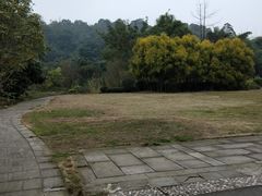 -张坝桂圆林公园