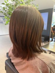 -付军剪艺JF ProSalon