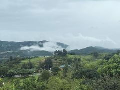 -大姆山草场