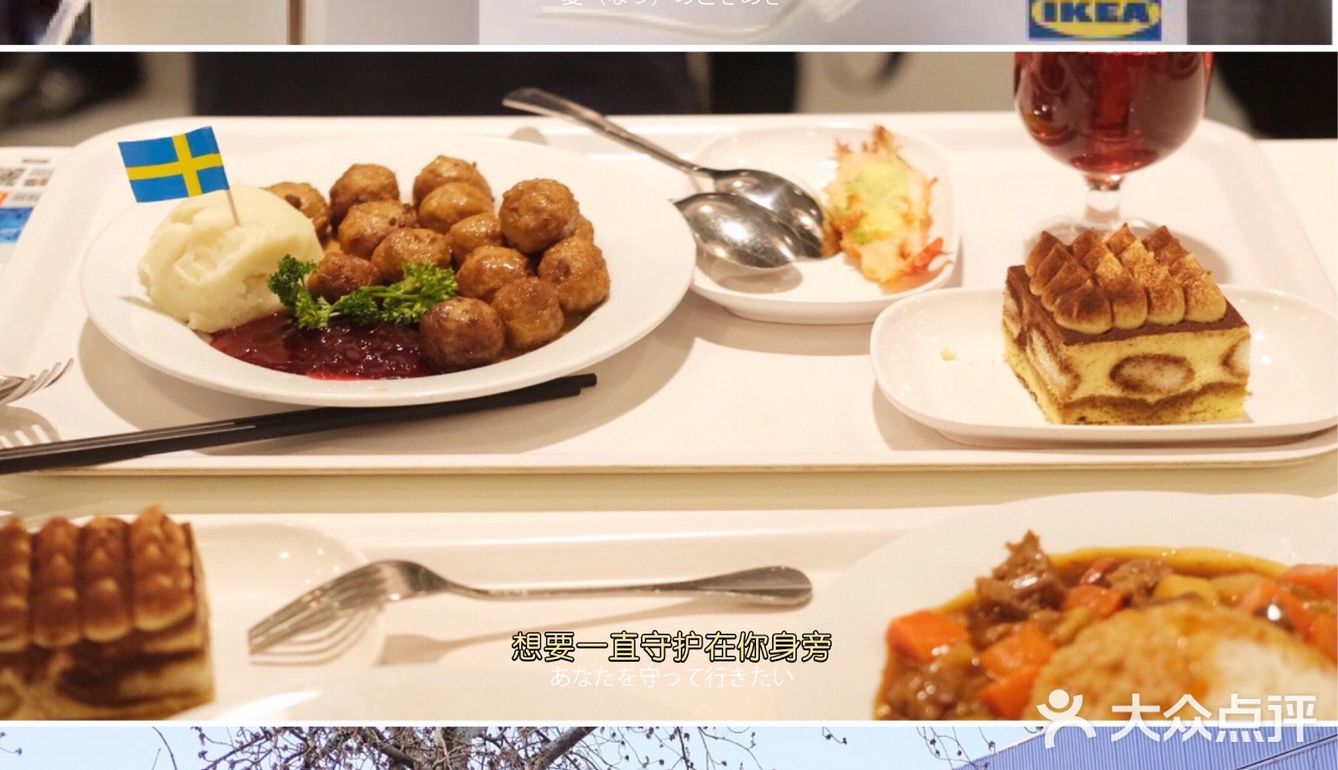 “不务正业”的它|是否也曾温暖过你的冬日？🌈