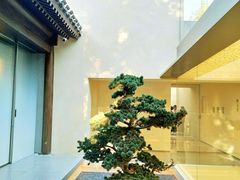 -北京国子监胡同