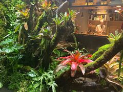 -森味薪火烧•烧鸟居酒屋•日本料理(望京店)