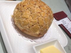 -南枝记