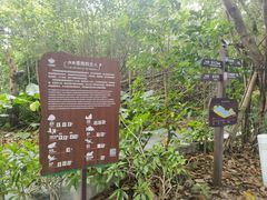 -华侨城湿地公园