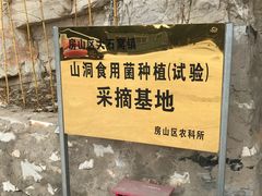 -仙蘑洞