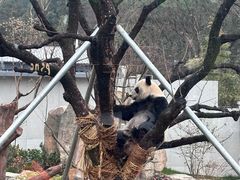 -无锡动物园·太湖欢乐园