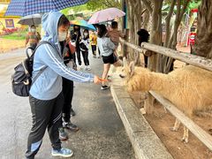 -灵玲国际马戏城