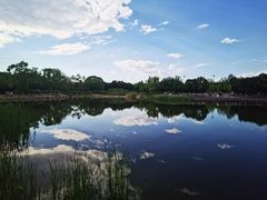 -永定河休闲森林公园