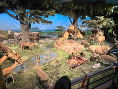 -国家自然博物馆