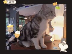 -咖法森林·咖啡  酒吧(天河店)