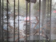 -新花城蟹粉馆(乌鲁木齐店)