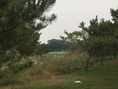 -滨海湖高尔夫球会