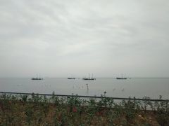 -贡湖湾湿地公园