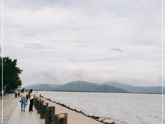-深圳湾公园(南山区)