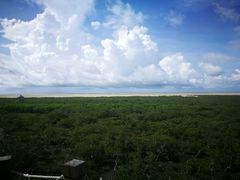 -北海金海湾红树林生态旅游区