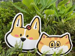 -申普宠物医院·心脏介入·心血管微创(总院)