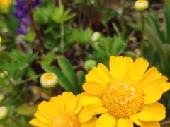 -桂桂茶(长江国际店)