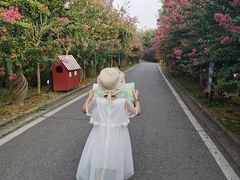 -武汉紫薇都市田园