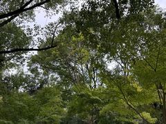 -上海交通大学(闵行校区)