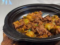 茄子焖牛腩-凤阁楼果木烧鹅(鹤山陈山店)