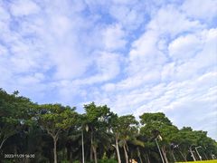 -深圳湾公园(南山区)