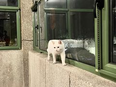-金岳台私汤温泉度假山庄·创意餐厅(昌平十三陵店)