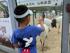 -盐城丹顶鹤湿地生态旅游区