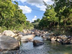 -海南热带雨林国家公园吊罗山景区