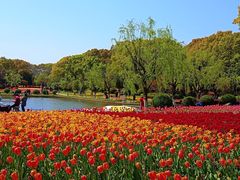 -上海鲜花港
