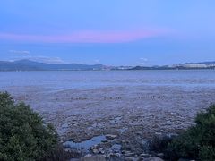 -深圳湾公园(南山区)