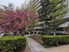 -山东大学(千佛山校区)