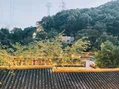 -巴倒烫陆派重庆火锅(南山店)