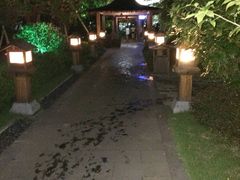 -航空小镇温泉