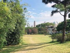 -江心屿景区