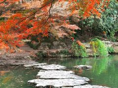 -杭州植物园