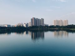 -广东花都湖国家湿地公园