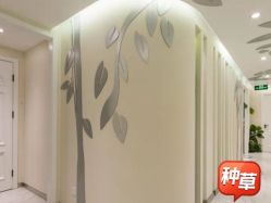 -健身堂科技美肌SPA