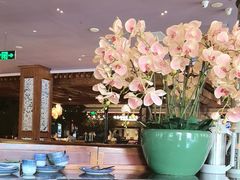 -八府香鸭·啫啫煲(华山路店)