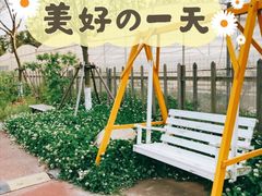 -前小桔亲子创意农场·草莓采摘·露营烧烤
