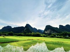 -明仕田园