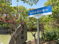 -南汇桃花村