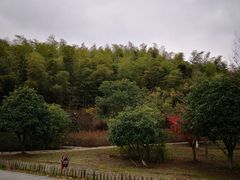 -南山风景名胜区