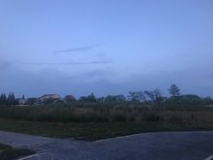 -周浦花海-停车场